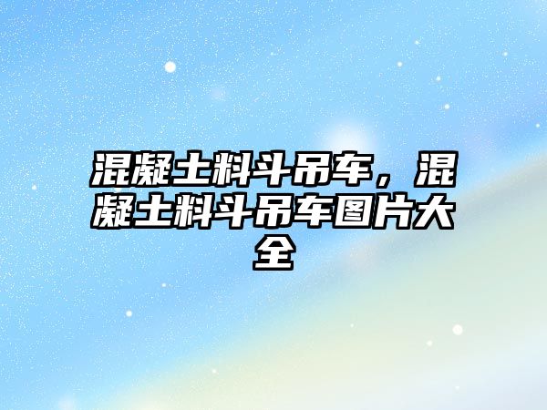 混凝土料斗吊車，混凝土料斗吊車圖片大全