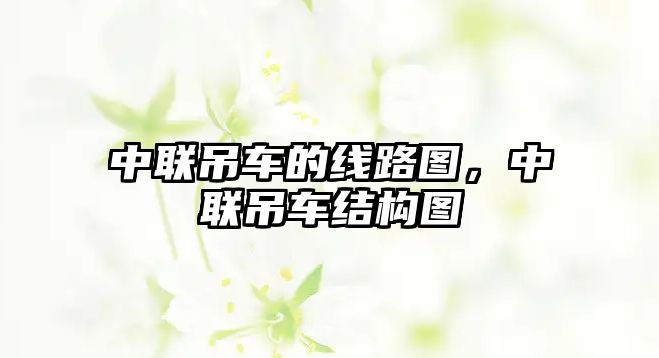 中聯(lián)吊車的線路圖，中聯(lián)吊車結(jié)構(gòu)圖