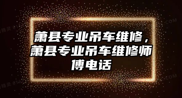 蕭縣專業(yè)吊車維修，蕭縣專業(yè)吊車維修師傅電話