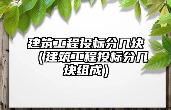 建筑工程投標(biāo)分幾塊（建筑工程投標(biāo)分幾塊組成）