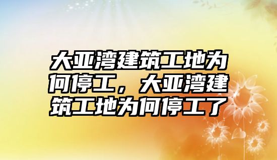 大亞灣建筑工地為何停工，大亞灣建筑工地為何停工了