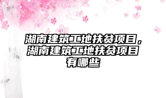 湖南建筑工地扶貧項目，湖南建筑工地扶貧項目有哪些