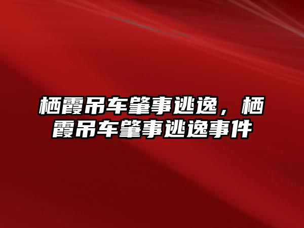 棲霞吊車肇事逃逸，棲霞吊車肇事逃逸事件