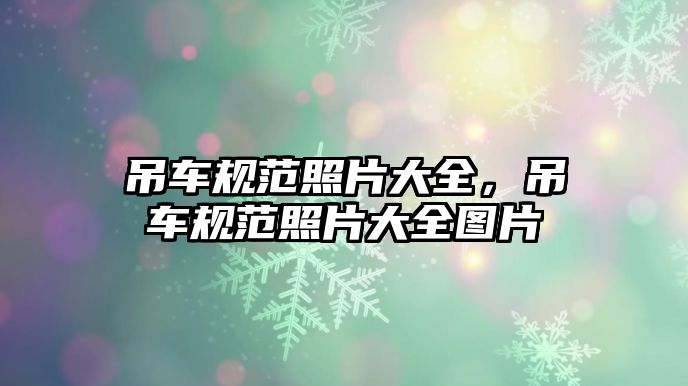 吊車規(guī)范照片大全，吊車規(guī)范照片大全圖片