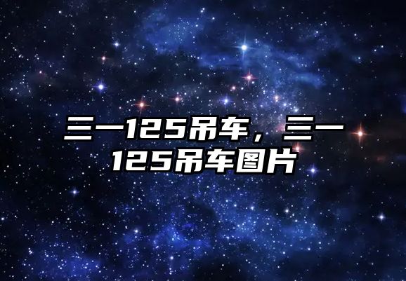 三一125吊車，三一125吊車圖片