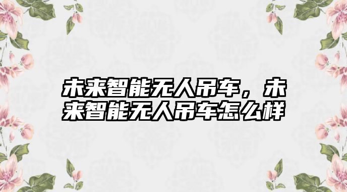 未來智能無人吊車，未來智能無人吊車怎么樣