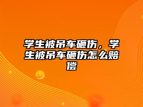 學生被吊車砸傷，學生被吊車砸傷怎么賠償