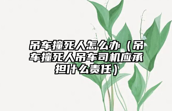 吊車撞死人怎么辦（吊車撞死人吊車司機應承擔什么責任）