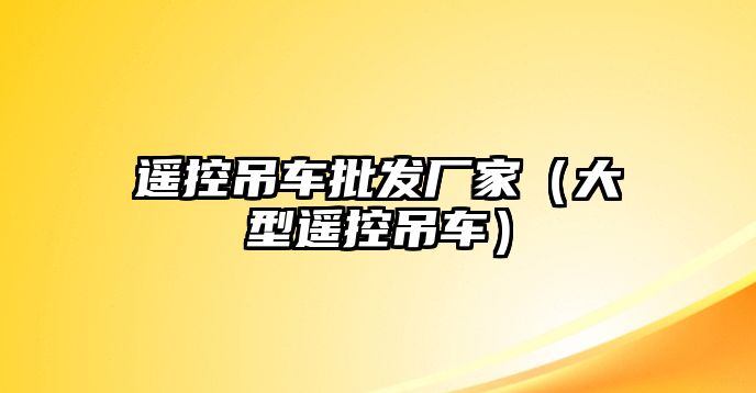 遙控吊車批發(fā)廠家（大型遙控吊車）