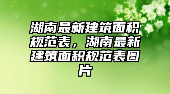 湖南最新建筑面積規(guī)范表，湖南最新建筑面積規(guī)范表圖片