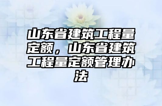 山東省建筑工程量定額，山東省建筑工程量定額管理辦法