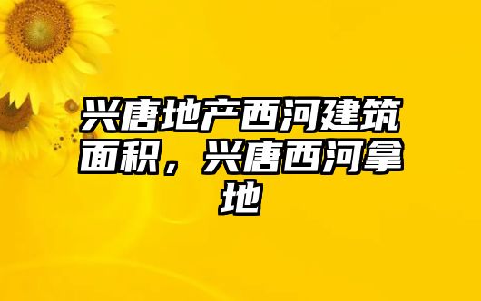 興唐地產(chǎn)西河建筑面積，興唐西河拿地