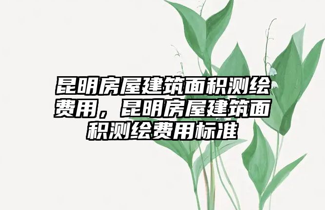 昆明房屋建筑面積測(cè)繪費(fèi)用，昆明房屋建筑面積測(cè)繪費(fèi)用標(biāo)準(zhǔn)