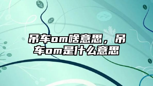 吊車om啥意思，吊車om是什么意思