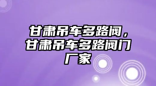 甘肅吊車多路閥，甘肅吊車多路閥門廠家