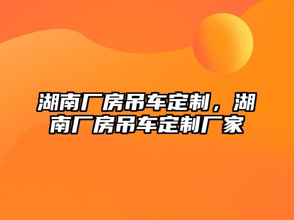 湖南廠房吊車定制，湖南廠房吊車定制廠家