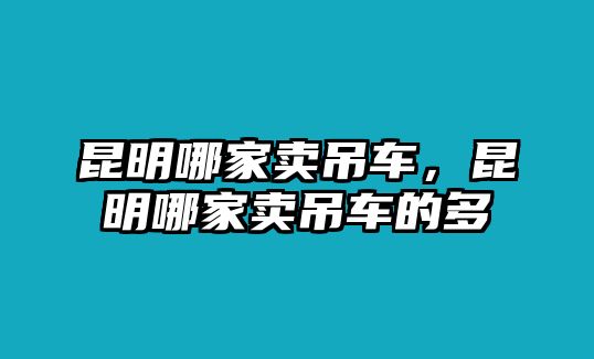 昆明哪家賣吊車，昆明哪家賣吊車的多