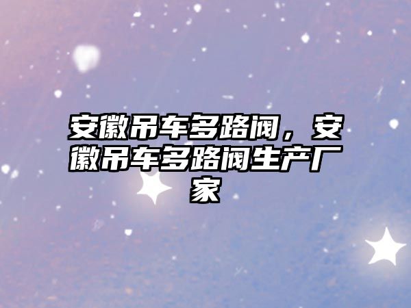 安徽吊車多路閥，安徽吊車多路閥生產廠家