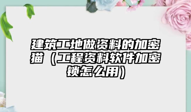 建筑工地做資料的加密貓（工程資料軟件加密鎖怎么用）