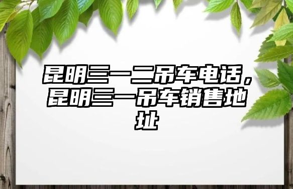 昆明三一二吊車電話，昆明三一吊車銷售地址