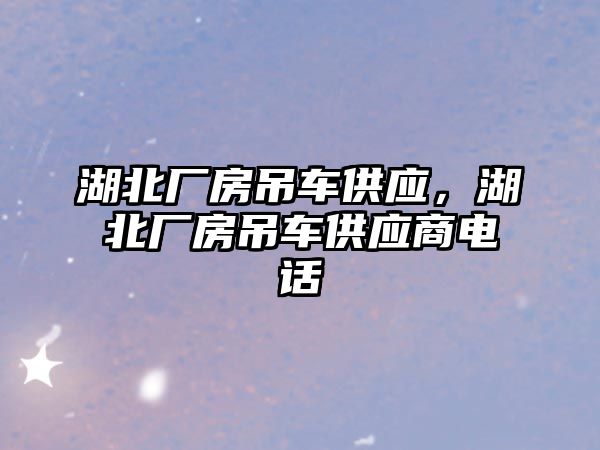 湖北廠房吊車供應，湖北廠房吊車供應商電話