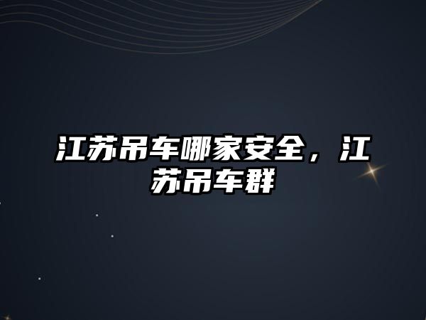 江蘇吊車哪家安全，江蘇吊車群