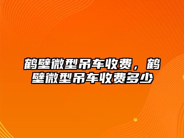 鶴壁微型吊車收費，鶴壁微型吊車收費多少