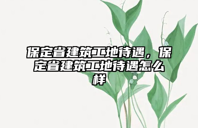 保定省建筑工地待遇，保定省建筑工地待遇怎么樣