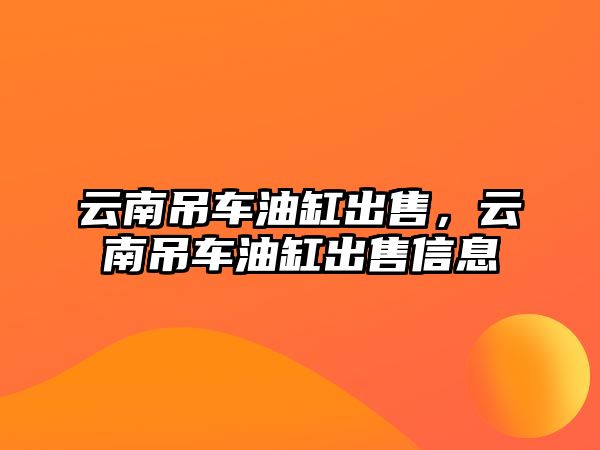 云南吊車油缸出售，云南吊車油缸出售信息