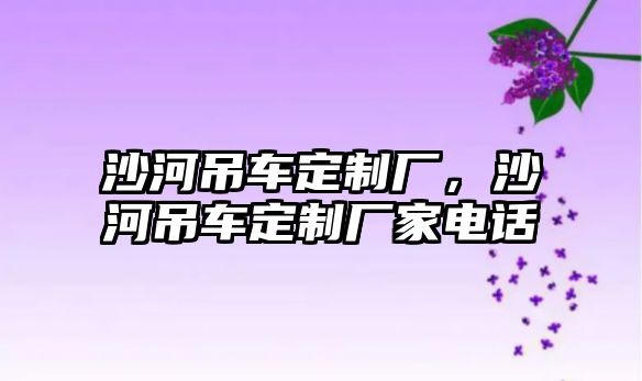 沙河吊車定制廠，沙河吊車定制廠家電話