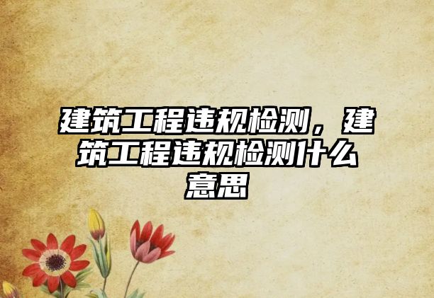 建筑工程違規(guī)檢測(cè)，建筑工程違規(guī)檢測(cè)什么意思