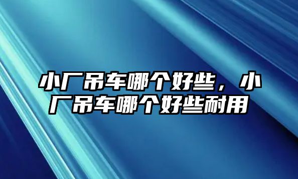 小廠吊車哪個好些，小廠吊車哪個好些耐用