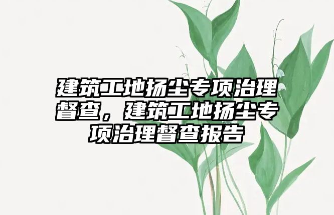 建筑工地?fù)P塵專項治理督查，建筑工地?fù)P塵專項治理督查報告