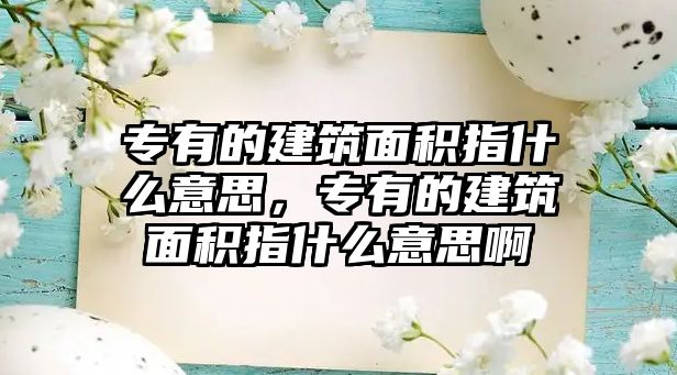 專有的建筑面積指什么意思，專有的建筑面積指什么意思啊