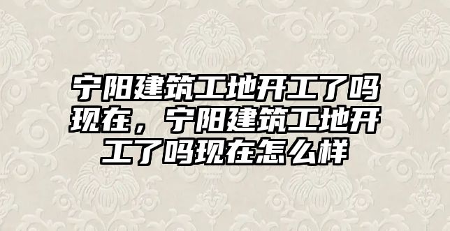 寧陽建筑工地開工了嗎現(xiàn)在，寧陽建筑工地開工了嗎現(xiàn)在怎么樣