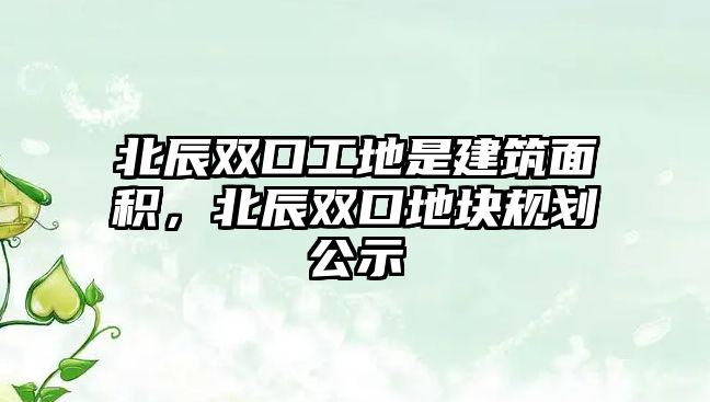 北辰雙口工地是建筑面積，北辰雙口地塊規(guī)劃公示