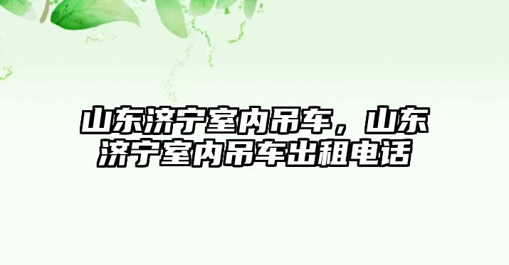 山東濟(jì)寧室內(nèi)吊車(chē)，山東濟(jì)寧室內(nèi)吊車(chē)出租電話(huà)