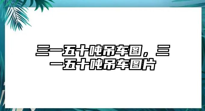 三一五十噸吊車圖，三一五十噸吊車圖片