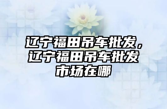 遼寧福田吊車批發(fā)，遼寧福田吊車批發(fā)市場在哪