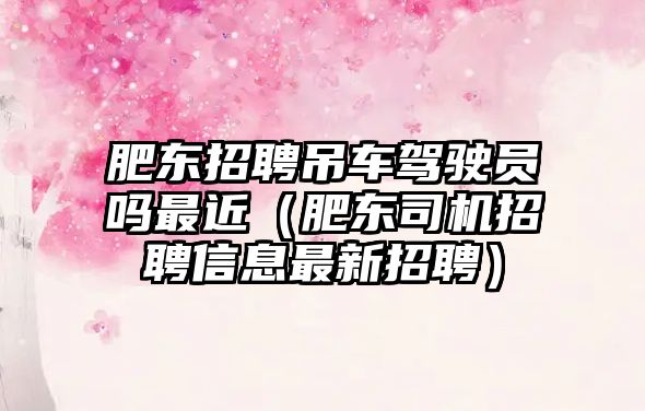 肥東招聘吊車駕駛員嗎最近（肥東司機招聘信息最新招聘）