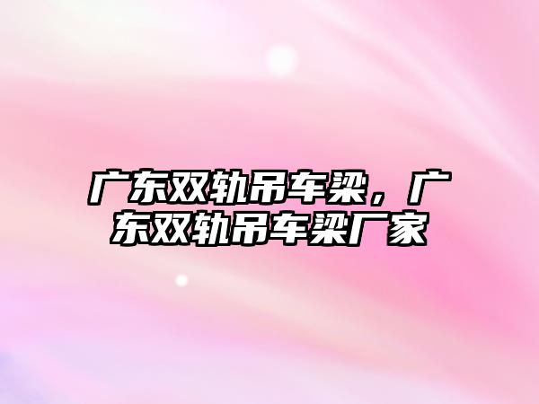 廣東雙軌吊車梁，廣東雙軌吊車梁廠家