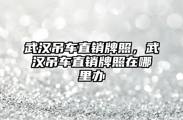 武漢吊車直銷牌照，武漢吊車直銷牌照在哪里辦