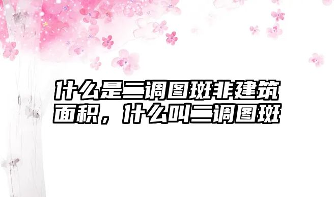 什么是二調(diào)圖斑非建筑面積，什么叫二調(diào)圖斑