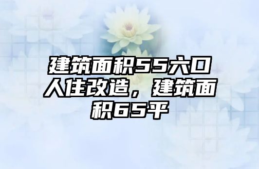 建筑面積55六口人住改造，建筑面積65平