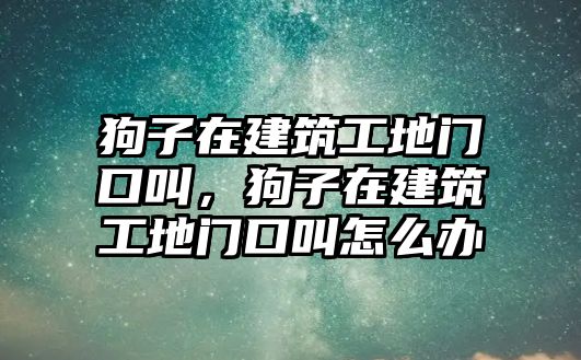 狗子在建筑工地門口叫，狗子在建筑工地門口叫怎么辦