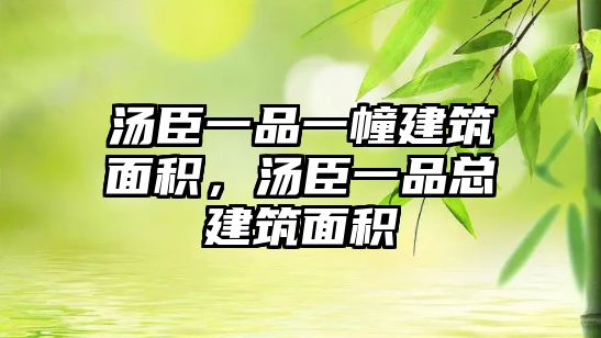 湯臣一品一幢建筑面積，湯臣一品總建筑面積