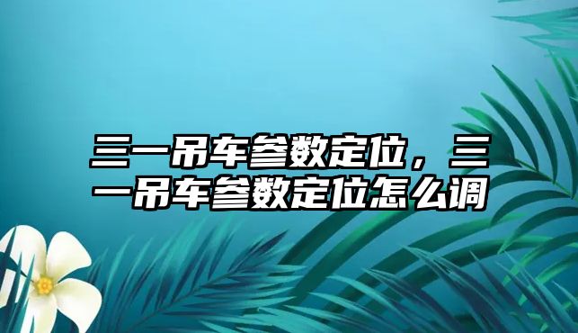 三一吊車參數(shù)定位，三一吊車參數(shù)定位怎么調(diào)