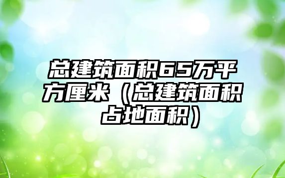 總建筑面積65萬(wàn)平方厘米（總建筑面積 占地面積）