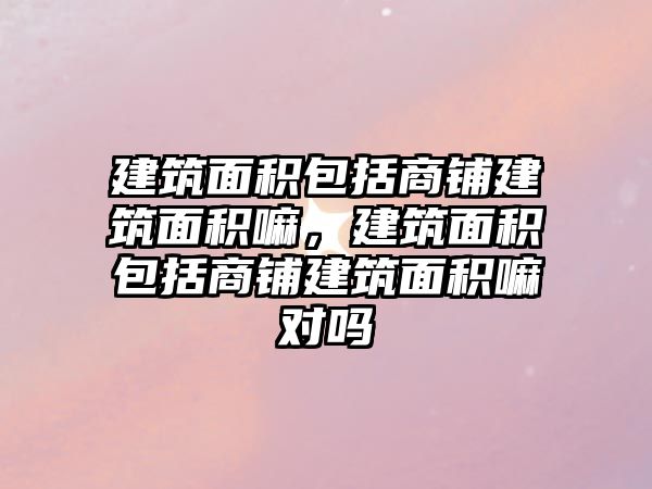 建筑面積包括商鋪建筑面積嘛，建筑面積包括商鋪建筑面積嘛對嗎