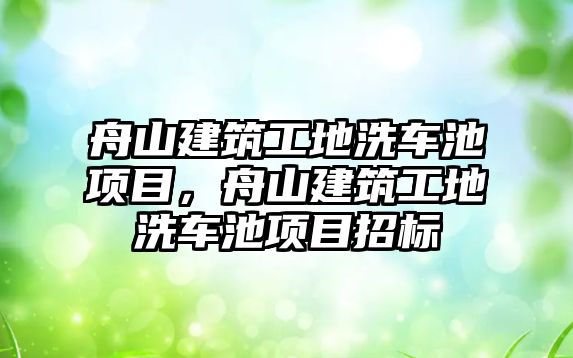 舟山建筑工地洗車池項目，舟山建筑工地洗車池項目招標(biāo)